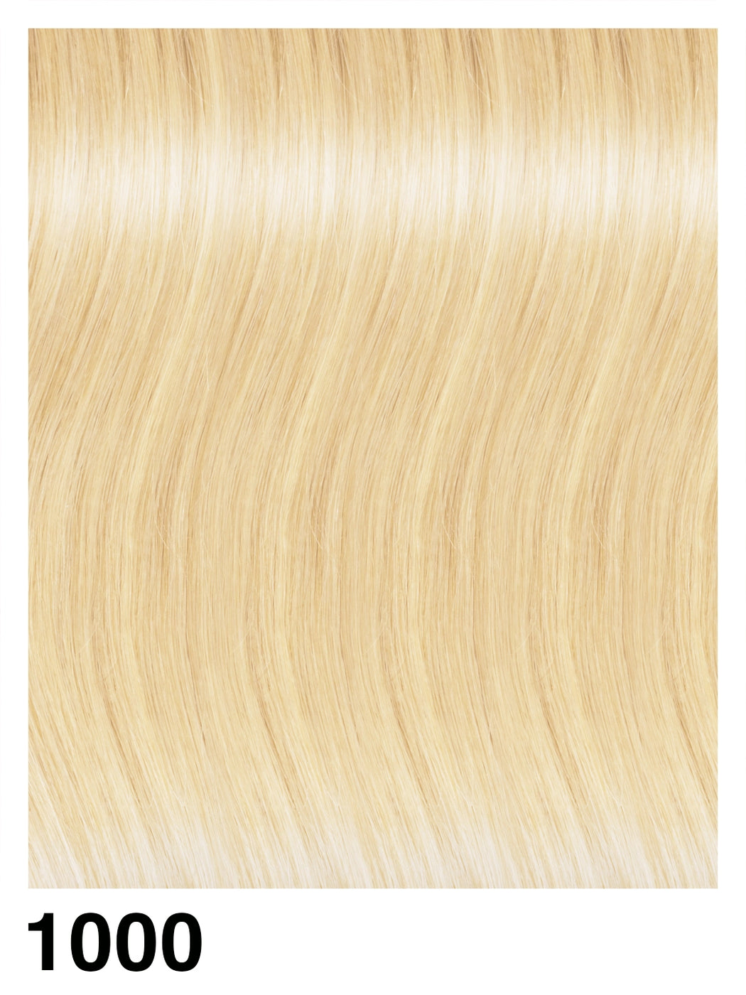 FTX3011NMW Fashion Tape Basic mosso colori naturali