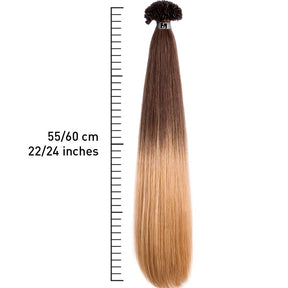 HEX8007D Extension con cheratina effetto shatush