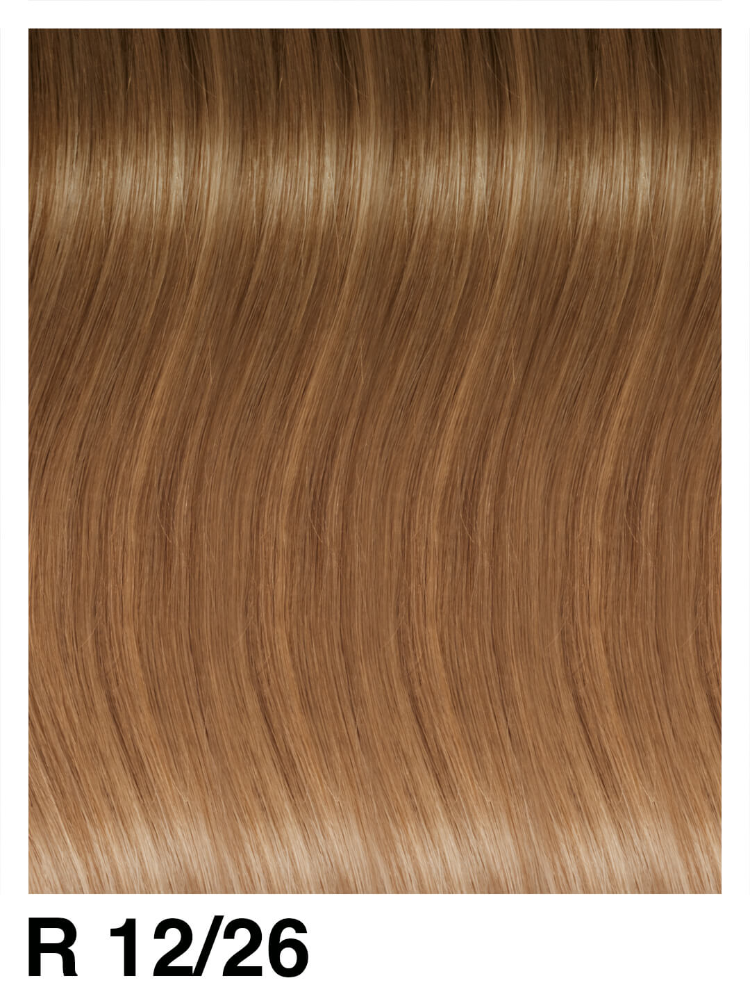 FTX3031RMW Fashion Tape Basic mosso in colori rooted