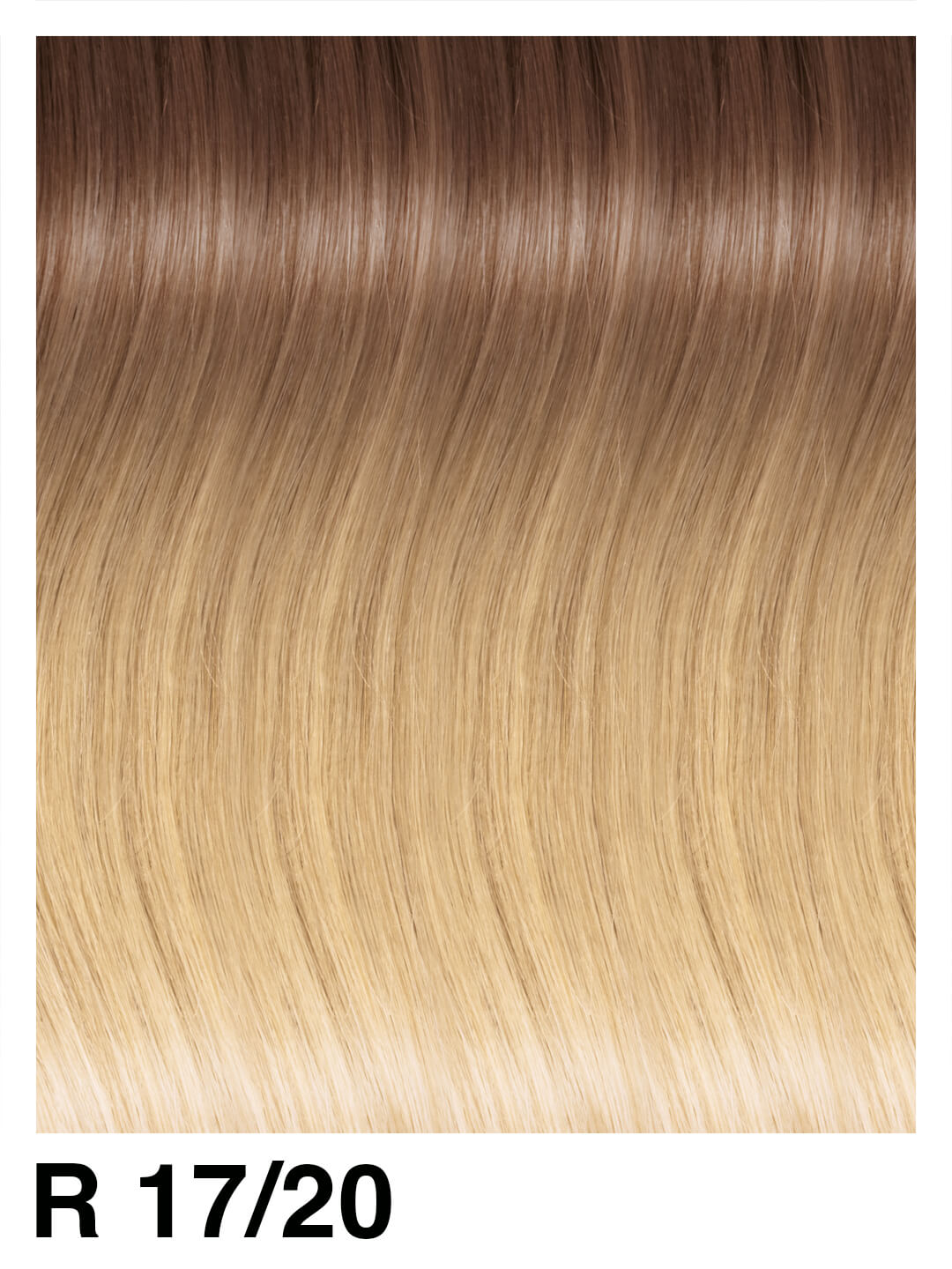 FTX3031RMW Fashion Tape Basic mosso in colori rooted